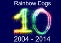 10 Years Experience Dog Training Brighton Hove