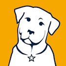 Shop Ruffwear Harness Rainbow Dogs Brighton Sussex